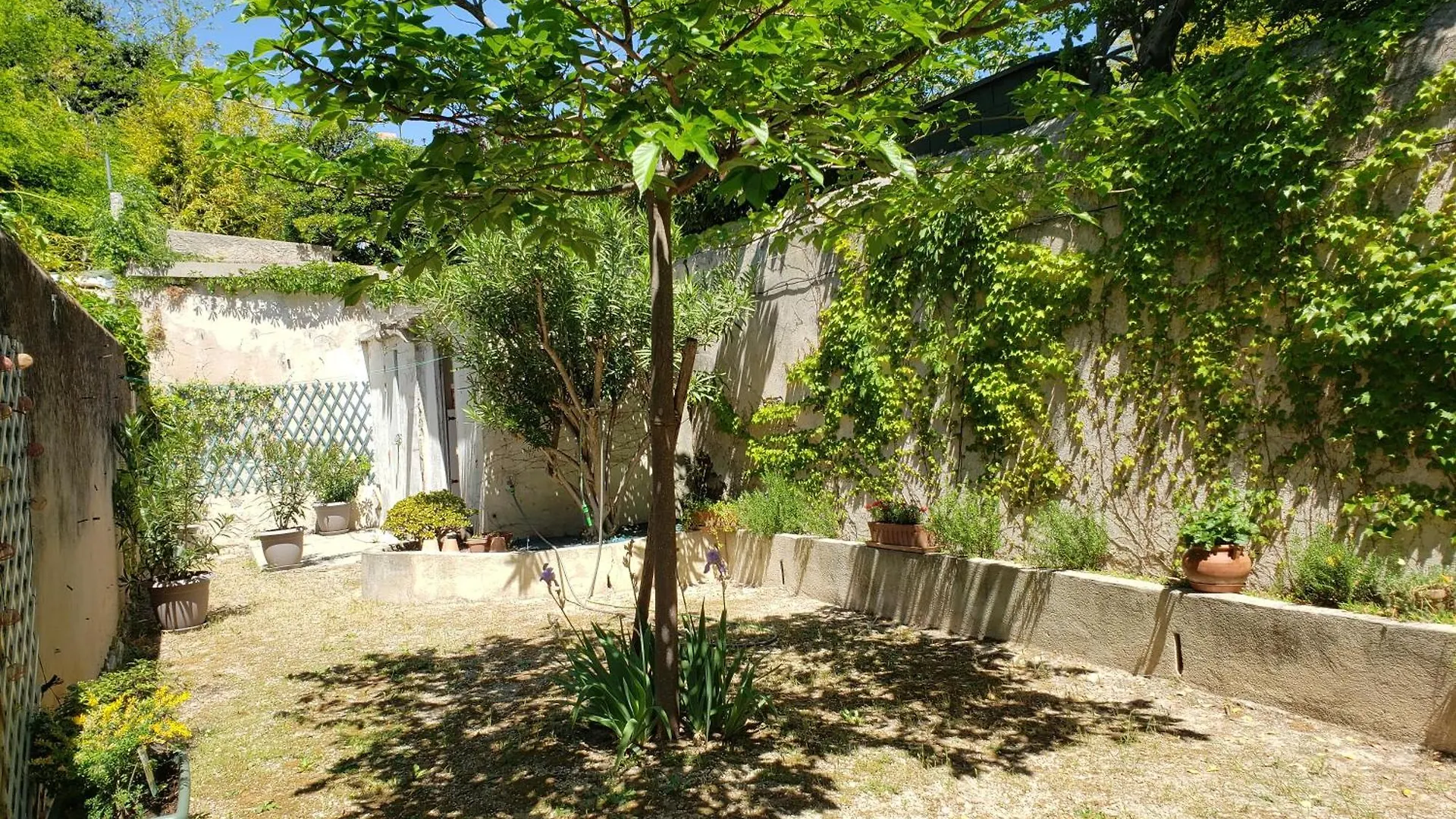 Apartment Appartement Au Coeur De Cassis Avec Jardin